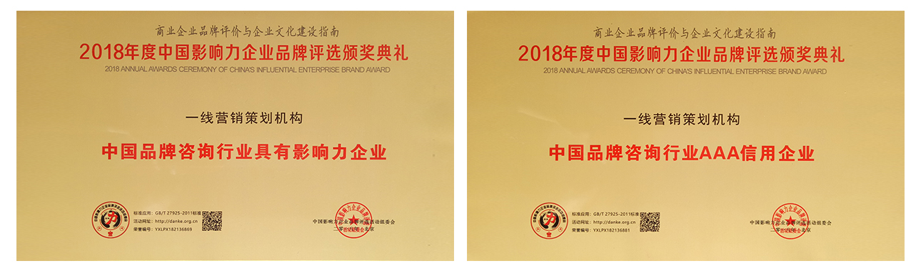 丁士安沖突戰(zhàn)略品牌營(yíng)銷策劃