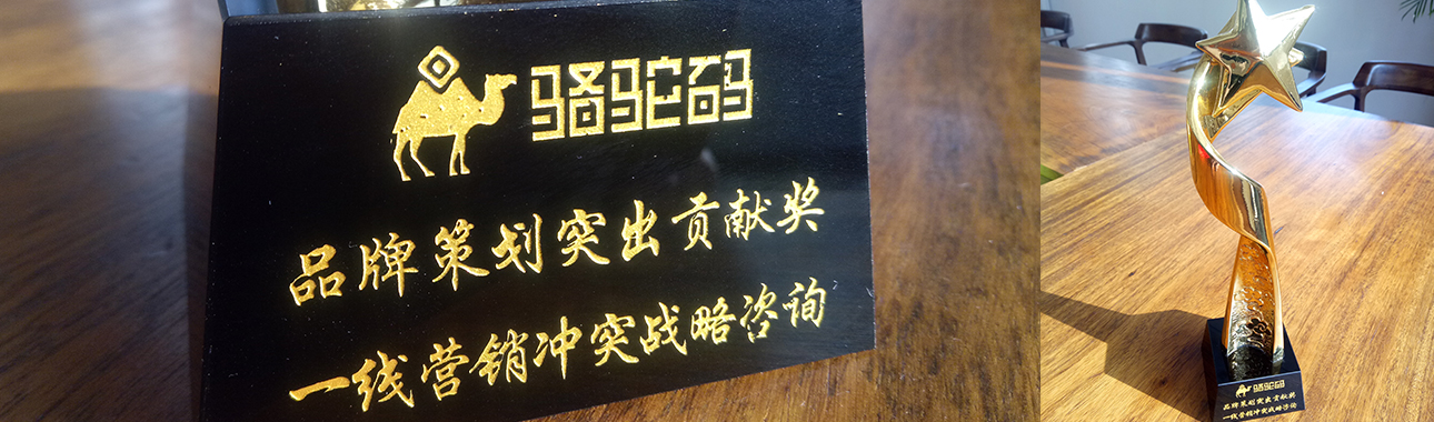 丁士安沖突戰(zhàn)略品牌營銷策劃