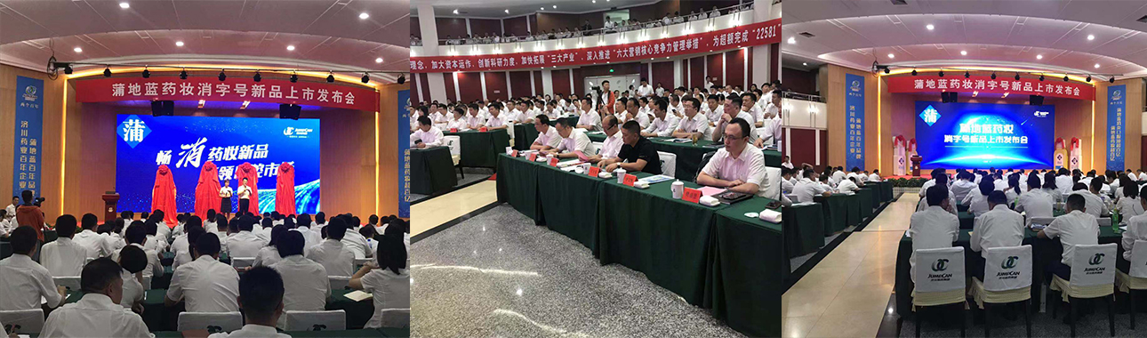 丁士安沖突戰(zhàn)略品牌營銷策劃